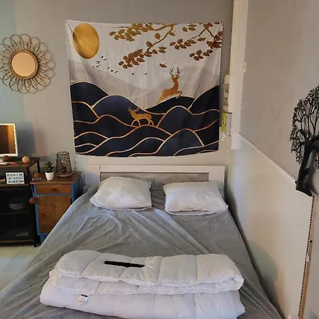 Apartment Studio Bourbon La Roche-Posay