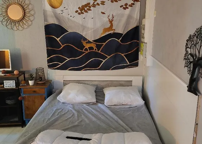 Apartmán Studio Bourbon La Roche-Posay